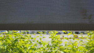 A solar screen in a picture window